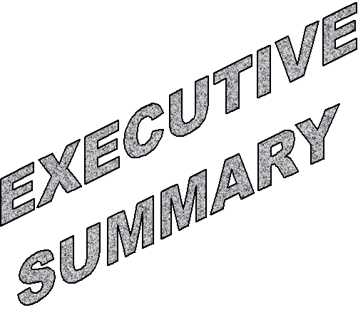 EXECUTIVE
SUMMARY